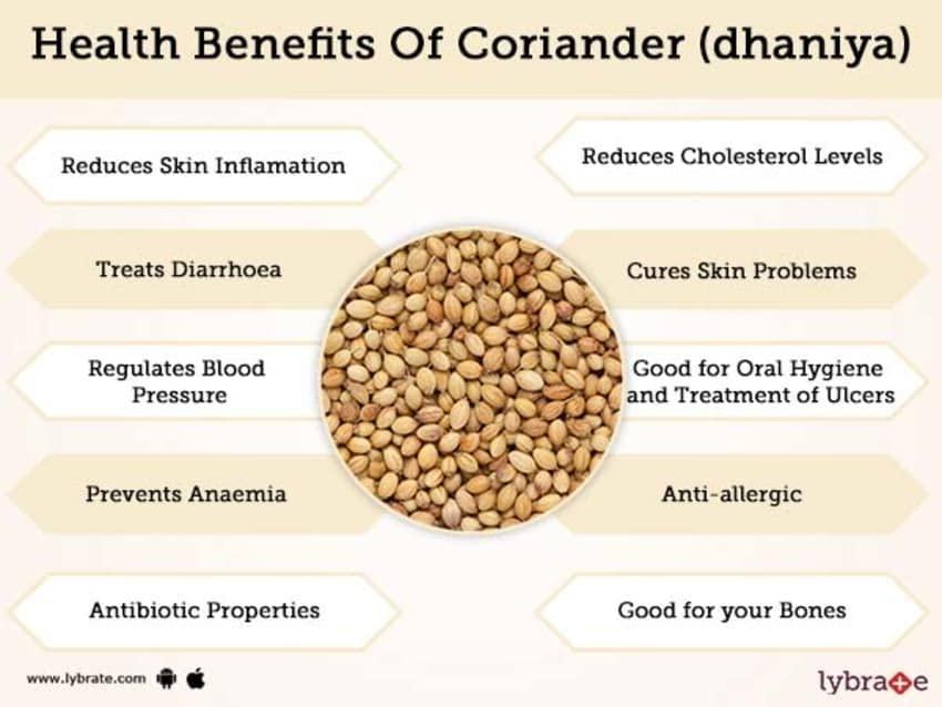 Dry Fruit Hub Dry Fruit Hub Coriander Seed 1Kg, Coriander, Coriander Seed, Dhaniya Seeds, Dhaniya Dal, Dhaniya Coriander Seeds (Coriander Seeds 1Kg)