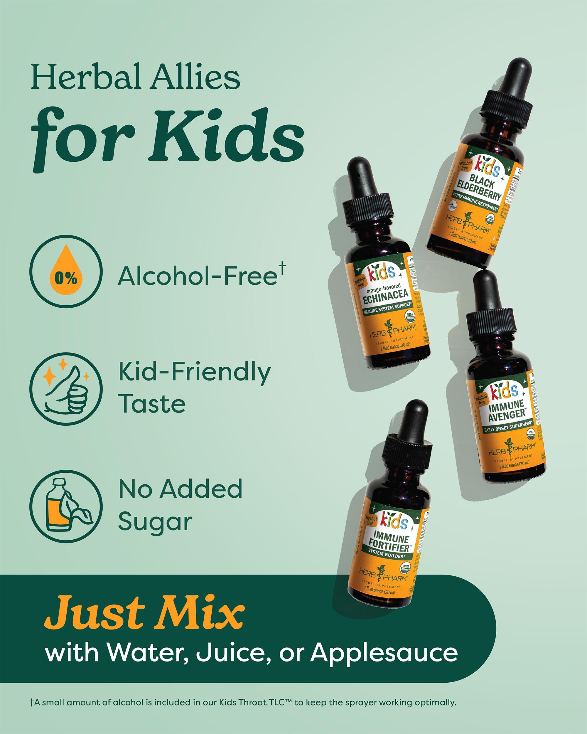 Herb Pharm Herb Pharm Kids Certified-Organic Alcohol-Free Fast Asleep Herbal Formula, 1 Ounce