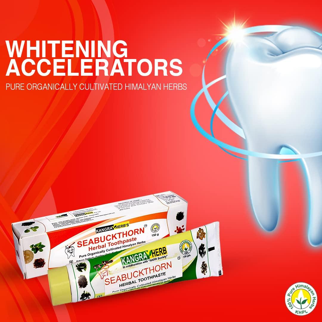 Kangra Herb KANGRA HERB Seabuckthorn Herbal Multi Action Toothpaste (150Gms), Made With Pure Organically Cultivated Himalayan Herbs