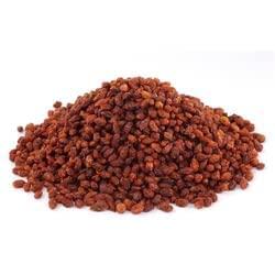 Easygrow Easygrow Sea Buckthorn Berries Powder | Dry Sea Buckthorn Berries Powder | - (200 GM)