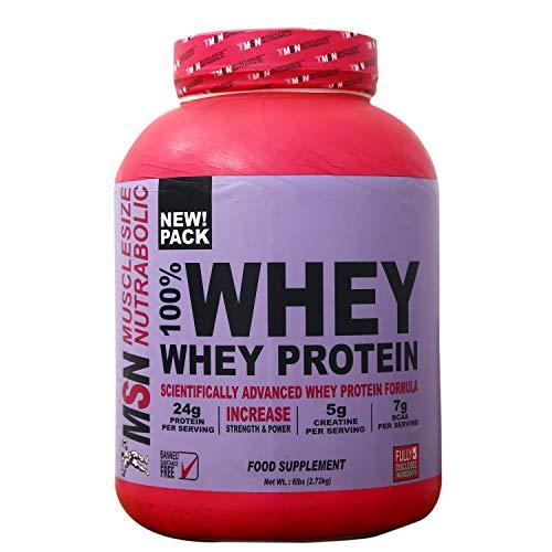 MUSCLE SIZE MUSCLE SIZE Msn Scientifically Advanced Whey Protein Formula (Chocolate)