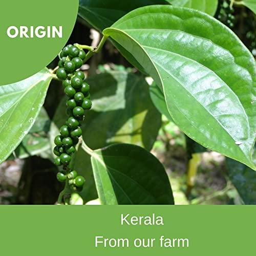 BOTLEAF BOTLEAF Black Pepper Powder 200 GM Idukki variety Derived from matured berries of Malabar Peppercorns from our own farm Thellissery Kali Mirch Golki Gota Golmorich Kalimiri Miriyalu 200 gm