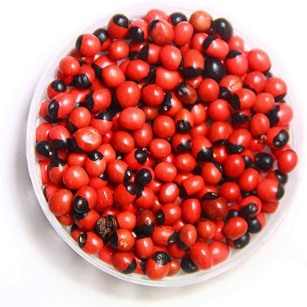 OhhSome OhhSome Red Gaungchi Seeds (Pack Of 250 Pcs) Original Lal Rakt Gunja/Chirmi Pcs/Abrus Precatorius/Gamanchi Gulaganji/For Puja