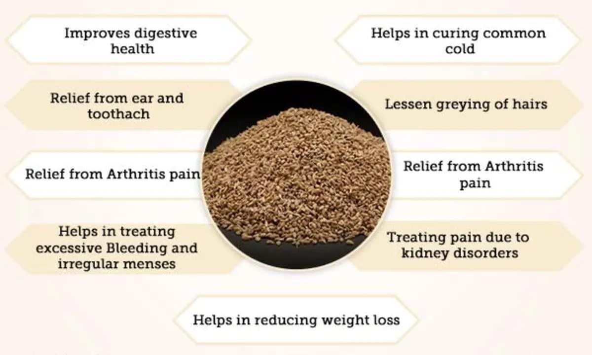 Chounk Chounk Ajwain Seeds/Carom Seeds/Fresh Ajwan/ - 200g (2 X 100g) | Ajowan | Rich & Strong Flavour | Used in Cooking | Vaamu Seeds