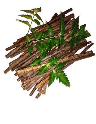 TLISMI TLISMI New Flawless Eyebrow Trimmer for Women - USB Rechargeable Portable Electric Face Epilator with Built-in LED Light Painless Eyebrow Shaver for Eyebrows, Chin, Neck, Upper Lips & Face (White)