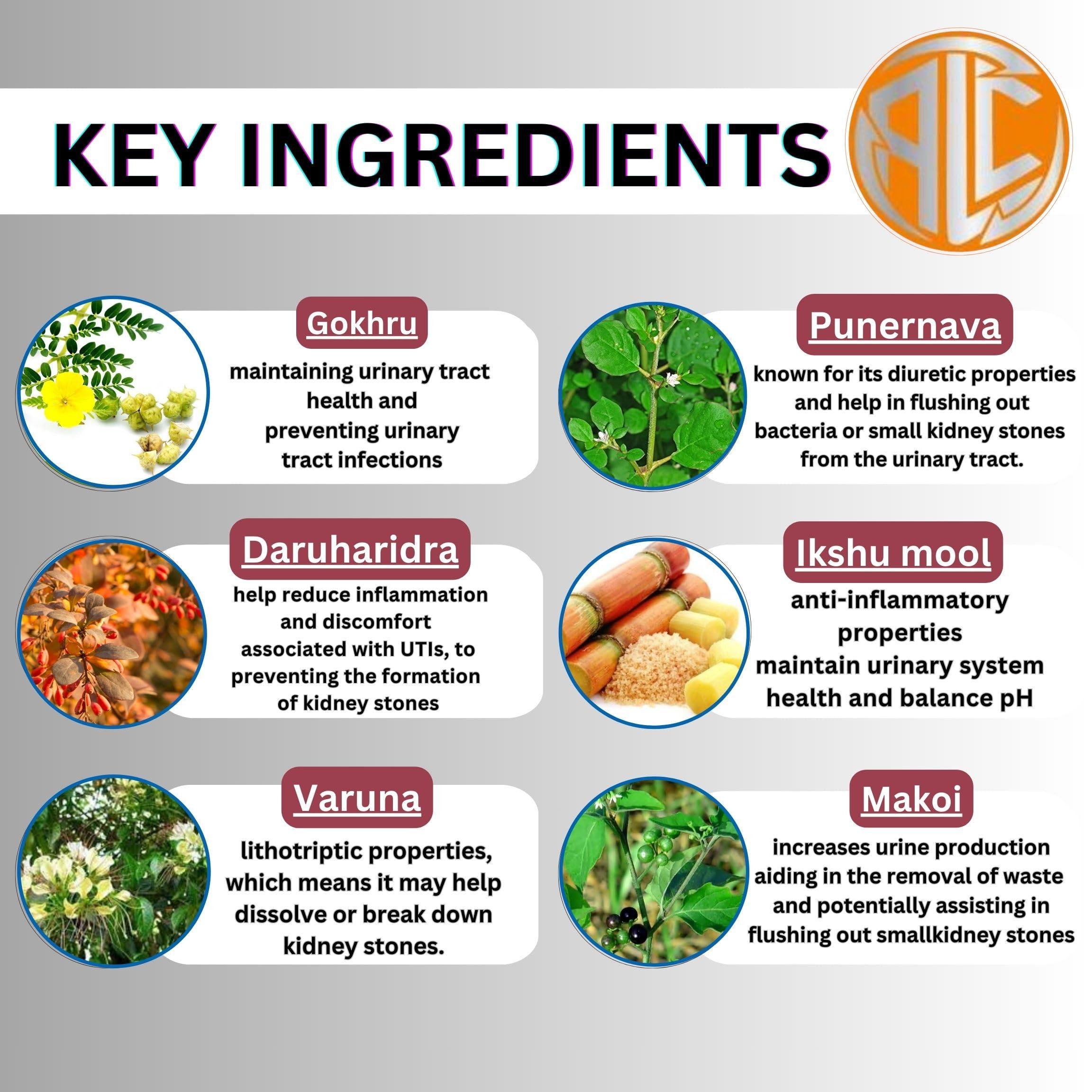 ALPHA LIFE CARE ALPHA LIFE CARE UTI-CARE An Ayurvedic 200ml Syrup For Urinary Track Infection(UTI), Support Kidney Health,Relief from Burning Sensation,Detoxifying Supplement with Punernava, Gokhru & Daruharidra (Pack of 6)