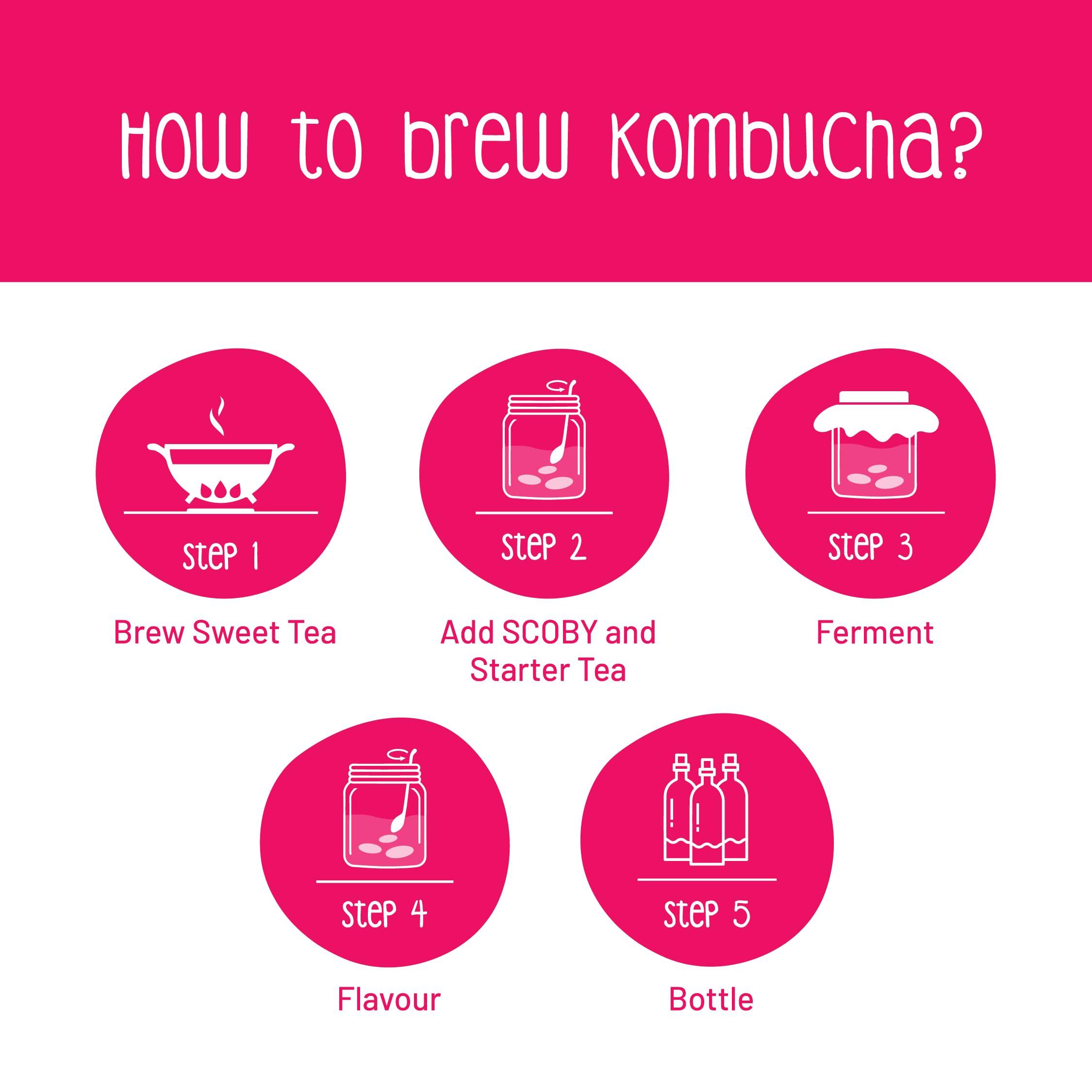 Zoh Zoh Probiotics Kombucha Scoby - Starter Culture With Mother - Live, Raw And Unfiltered - Diy Make Endless Batches- Lab Tested - No Vinegar Or Artificial Flavours Added