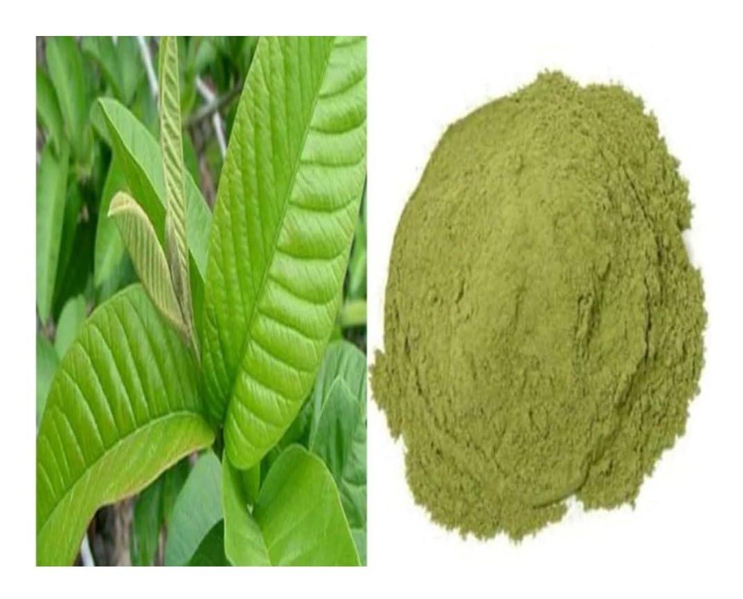 3V PRODUCTS 3V PRODUCTS: Guava Leaf Powder 400g | Amrood Patti | Koiya ilai | Psidium Guajava Powder for Tea, Juice, Milkshake, Cake, Body health & more