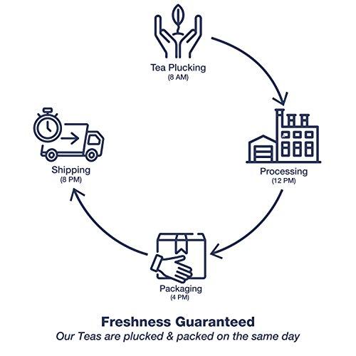 Dharmsala Tea Company Dharmsala Himalayan Hand Rolled Oolong Tea, Chinese Styled Tea, Pure Whole Tea Leaves, 25g, Freshly Packed at Our Plantations in Dharmsala