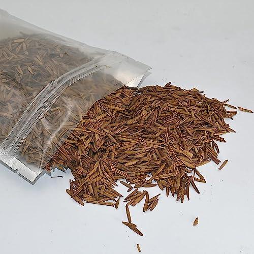 THH THH Kadwa Indrajau (200g) - Indra jau | Natural Indrajav - Holarrhena Pubescens