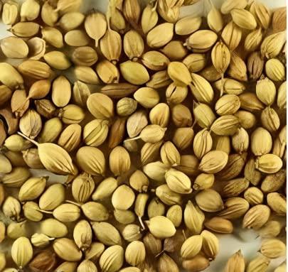 uttam kheti Utam kheti organic dhaniya sabat/whole coriander seeds/pesticide free