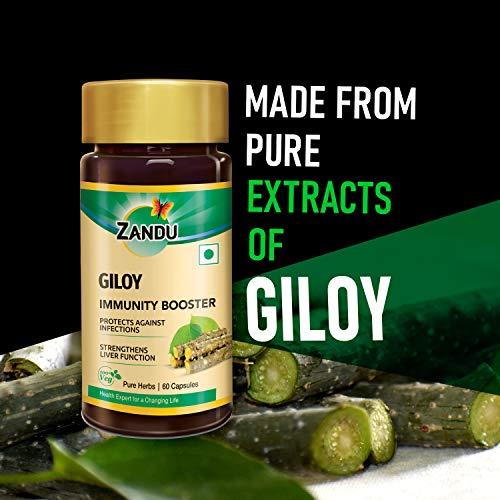 Zandu Zandu Giloy Capsules (Guduchi) 120 Veg Capsules, Natural Giloy Extract, Antioxidant Properties, Immunity Booster, Health and Wellness with 2X Immunity (Pack of 60 caps x 2)