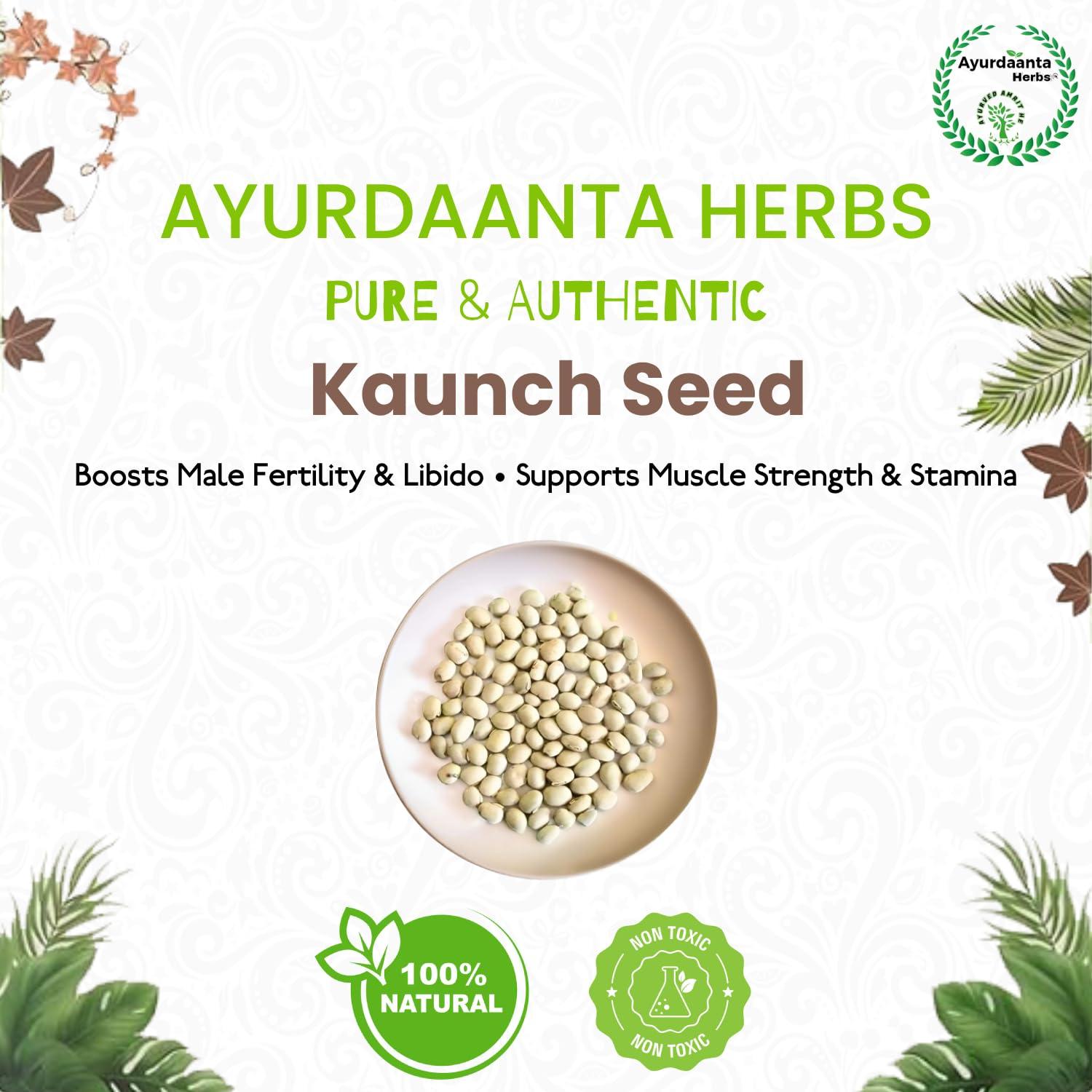 Ayurdaanta Herbs Ayurdaanta Herbs - Kaunch Beej Powder 100Gr | White Kaunch Beej Powder 100Gr |Mucuna Pruriens|Kaunch Seeds Powder | 100Gr| 100Gr -