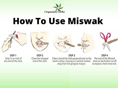 Billion Deals Natural Traditional Miswak (sewak) Peelu Chewing Stick Toothbrush for Whiter Teeth (3)