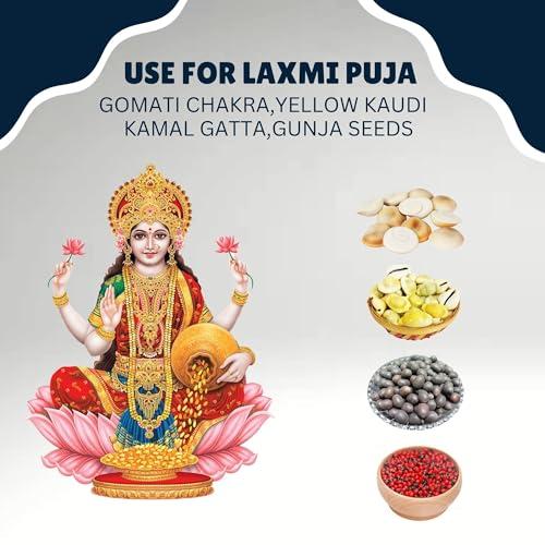 BrijBooti BrijBooti Combo Pack of Gomti Chakra - Pili Kaudi - Kamal Gatta - Gunja Seeds 11 Pieces Each for Lakshmi Pooja, Wealth & Luck