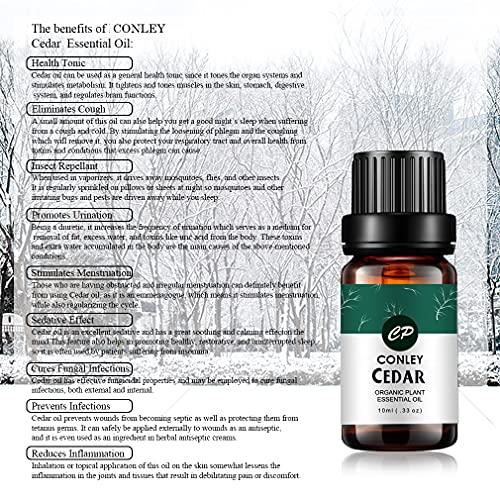 CONLEY CONLEY Cedarwood Essential Oil for Hair Growth & Skin - Therapy Grade Cedar Oil for Diffuser 10ml
