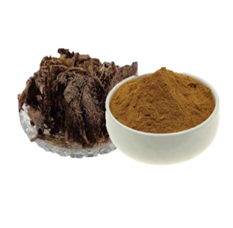 yugantar YUGANTAR JATAMANSI ROOT POWDER - BALCHAD POWDER - JATAMASI JADD POWDER - NARDOSTACHYS - MUSK ROOT - SPIKENARD 200 GM