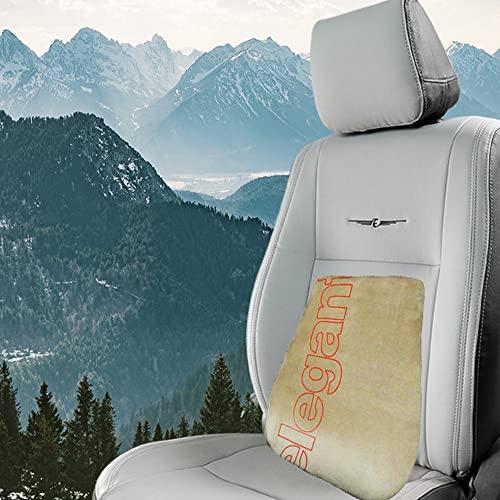 Elegant Elegant Memory Foam Slim Full Active Back Support Car Pillow Compatible with Hyundai Santro Xing (Black)