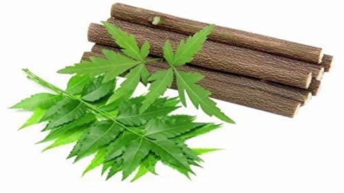 Generic Sonu Organic Fresh Neem Chew Sticks (Datoon) for Healthy Teeth and Gums - 20 Sticks