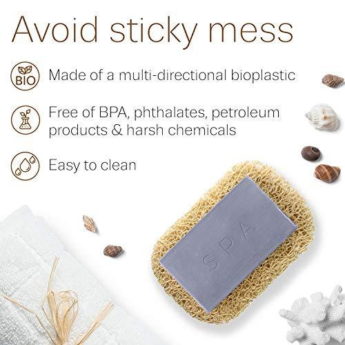 Pumice Valley Pumice Stone for Feet - Natural Lava Foot Stone with New Eco-Friendly Holder - Callus Warts Corn Removal - Pedicure Exfoliator for Dry Dead Skin | Heels | Elbows | Hands - Healthy Foot Care Scrubber