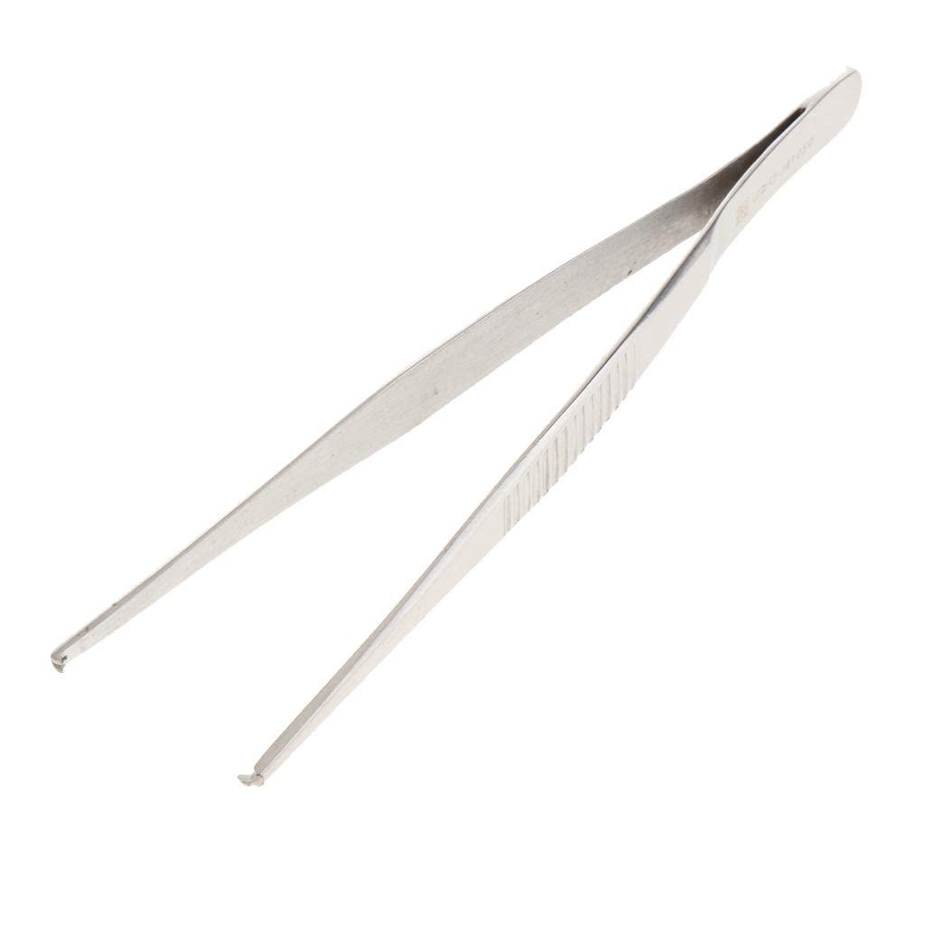 CALANDIS CALANDIS Long Stainless Steel Straight Tweezers For Detailed Work 14Cm Length B