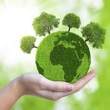 100%NATURAL&PURE PRODUCTS 100%NATURAL&PURE PRODUCTS Shankh Bhasma (10 gm)