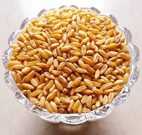 VISION CRAFTED VISION CRAFTED PUNJAB Chemical Free Rare Desi Bansi Wheat Seeds Variety For Growing Wheat (4 KG, BANSI WHEAT)