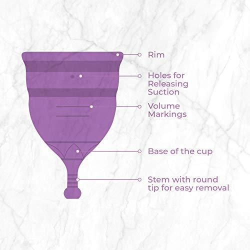 PEESAFE Pee Safe Menstrual Cup Medium + Large | Odour & Rash Free | Leakage Proof | Infection Free | Made With Medical Grade Silicone | Reusable Cups