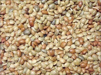 BANRUJJEDER ORCHID BAGAN PRIVATE LIMITED 100 Gram Kulthi / Horse Gram / Kulotto Kolia / kollu / kaanam / Hulthi / Ulavalu /Kuleeth / Macrotyloma Uniflorum