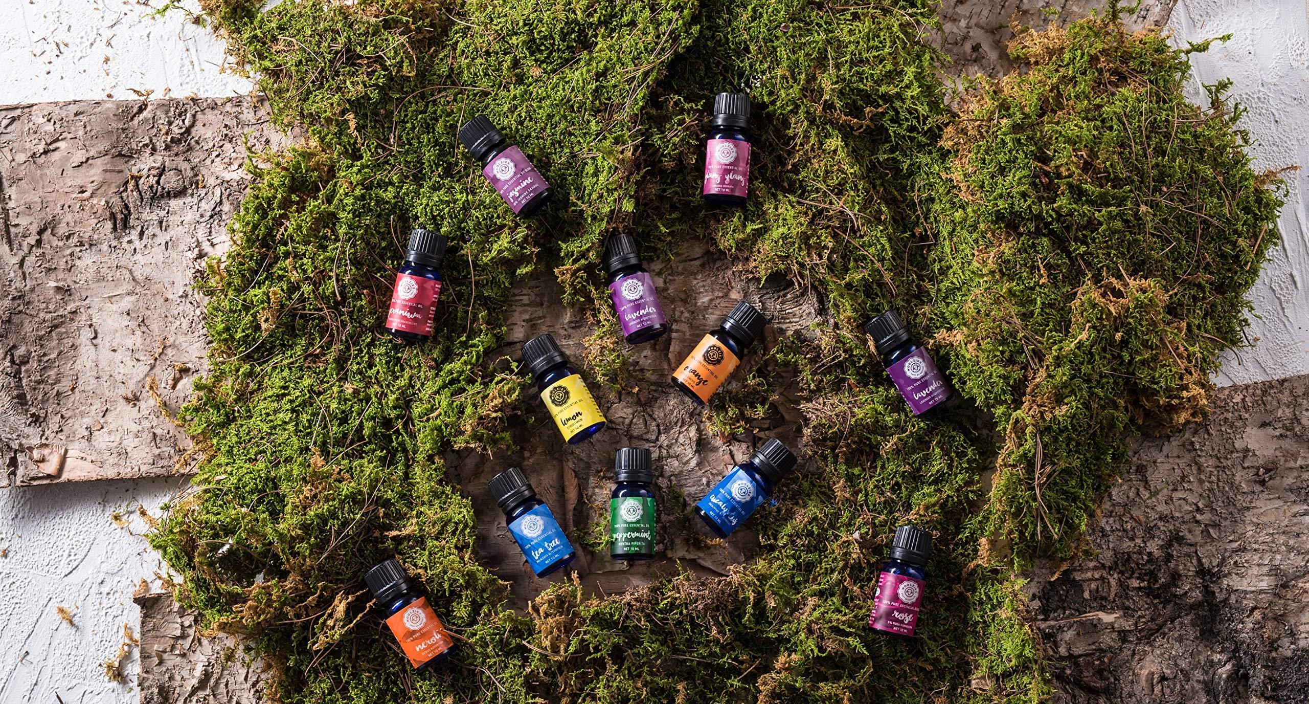 Woolzies Woolzies best quality 100% Pure Frankincense essential oil, Therapeutic grade, 1 fl oz