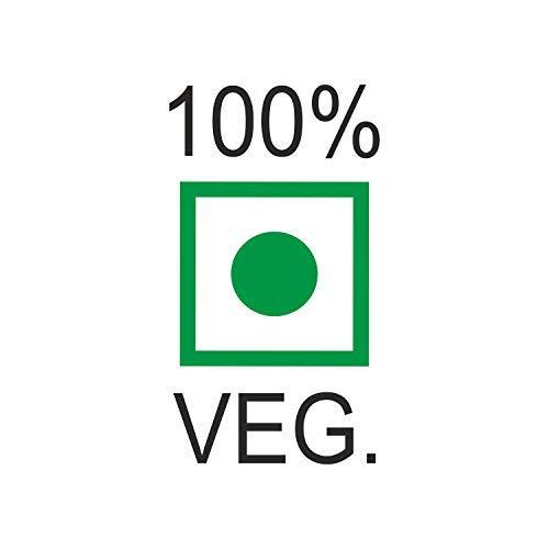 3GOrganic 3GOrganic Premium Quality Giloy Powder for Healthy Hair & Multipurpose 100 Grams (Pack of 4)