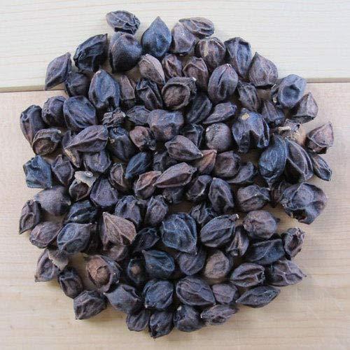 DEVAMA THE DIVINE DEVAMA THE DIVINE Dry Lasoda - Dry Lesus - Gunda - -LISODHA DRY - LASODA - LASORA - LISODA - LESUA - SAPISTAN 100Grm