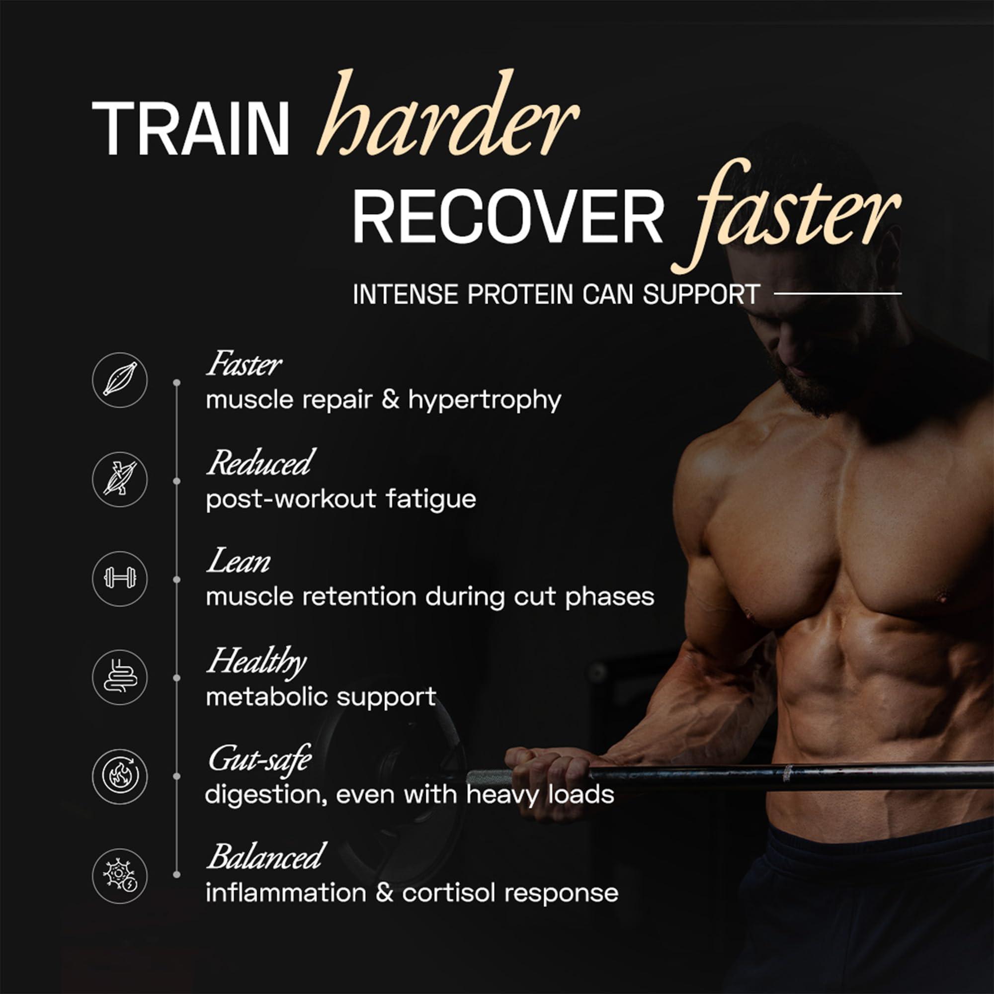 Ace Blend Ace Blend Intense 30G Plant Protein (15 Servings) | Pea & Brown Rice Isolate | 6G BCAA | Complete Amino Acid Profile | Gut Friendly | Muscle Growth & Recovery | Men & Women | Mocha Flavour