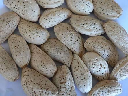 BELLANUTS BELLANUTS Abdul Bedi badam afgani | Abdul Wahdi Almonds | Abdul wahidi Almond | Abdul wadi Almond Shell (500g)