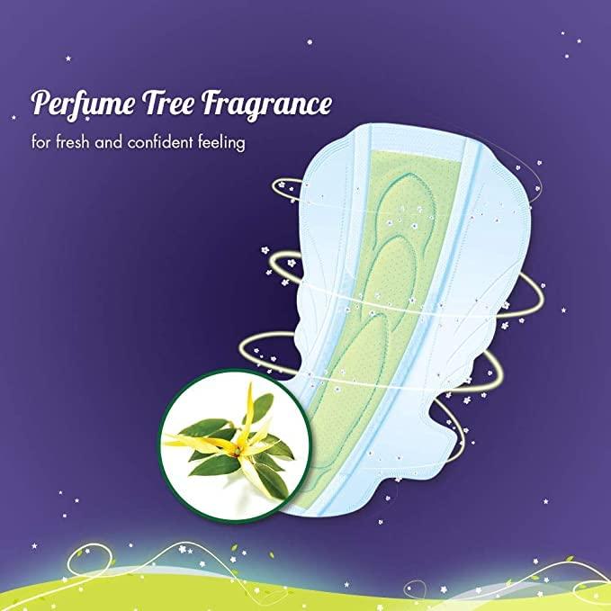 Sofy SOFi Sofy Antibacteria Overnight Xxl 20+20+20 Sanitary Pad Sanitary Pad (Pack Of 3)