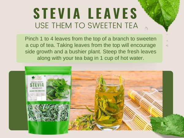 BLISS OF EARTH Bliss of Earth Organic Stevia Leaves Dried, Natural & Sugarfree, Best Taste, 2X100GM