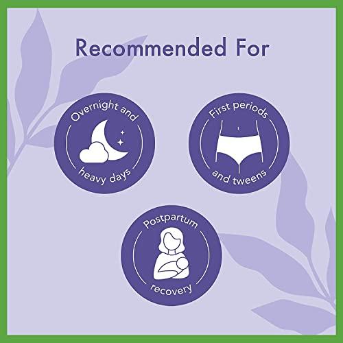 empresa industries Overnight Period Panties (Medium/Large size, pack of 15 panties) for heavy flow period protection | with 360 degree anti-leakage design & airy-soft fabric | 1 panty = ~3 regular pads (Pack of 15)