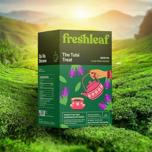 FRESHLEAF FRESHLEAF Tulsi Green Tea Rich With Anti-Oxidants, 100% Whole Long Leaf, 20 Pyramid Tea Bags (60 Tea Bags) (40 Tea Bags)