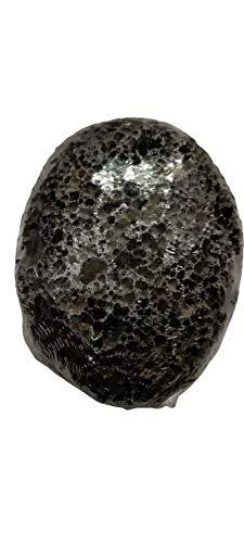 Brushman Brushman Beauty Accessories Pumice Stone (Black Oval P-S1)