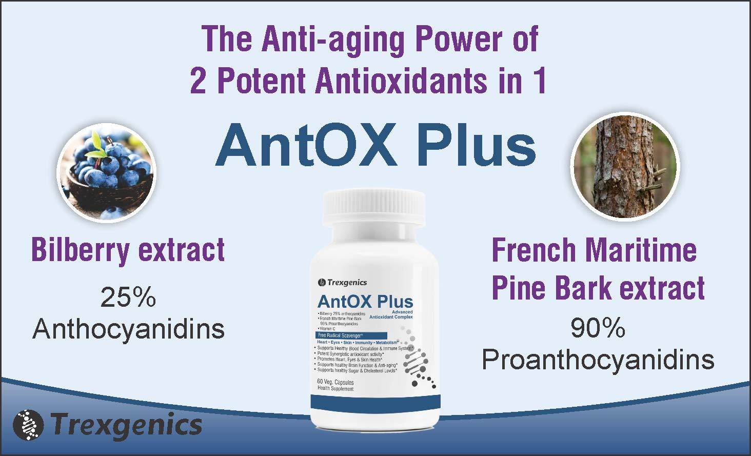 Trexgenics Trexgenics ANTOX PLUS Bilberry 25% 200 mg, Pine bark 90% 200 mg & Vitamin C Advanced Antioxidant complex, Heart, Eyes, Skin, Immunity, Metabolism (60 Vcaps) (1)