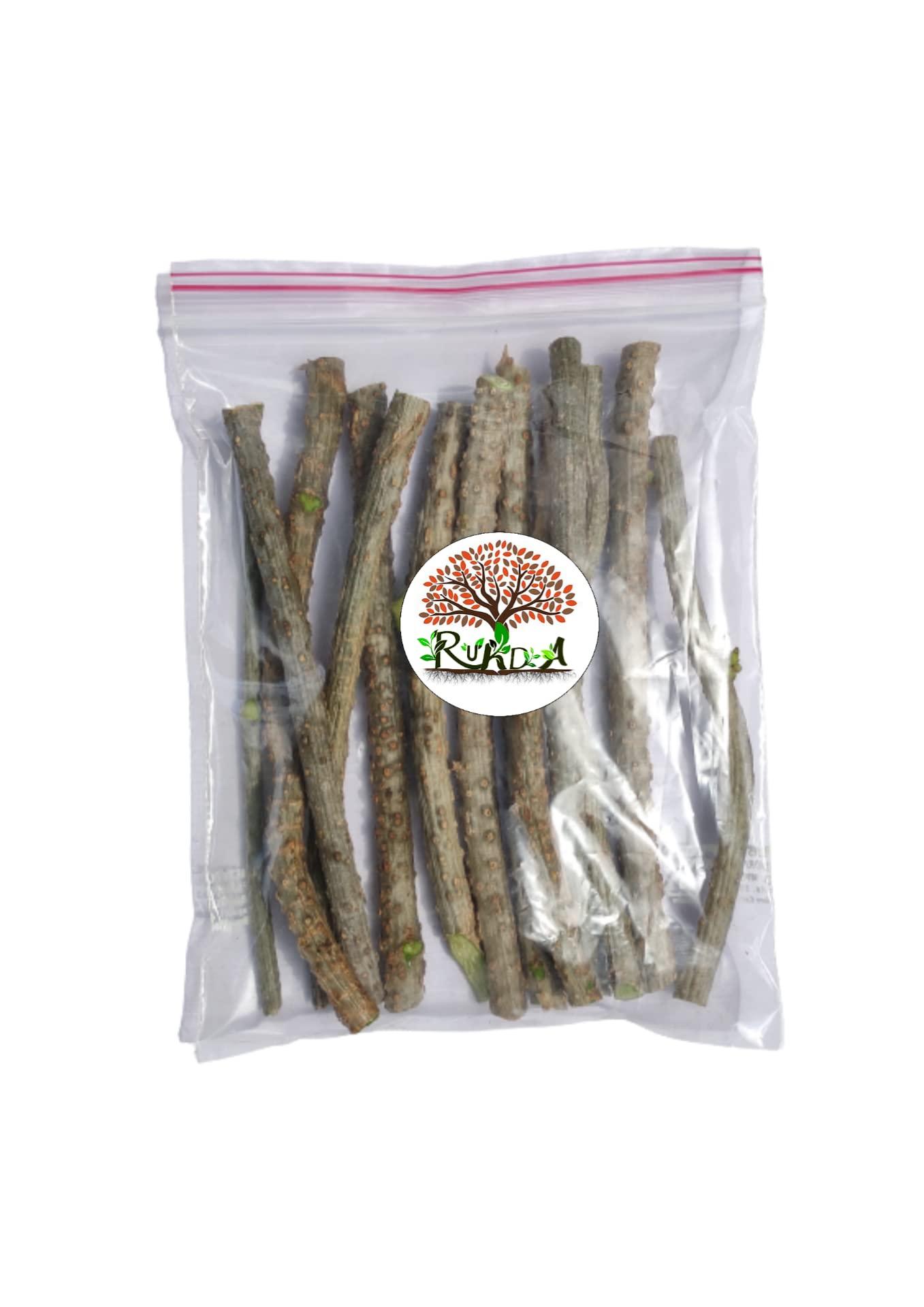 RUKDA RUKDA Giloy stems, Fresh Neem Giloy Plant Stems Giloy Sticks, Guduchi stems Neem Giloy stick 30 cm Long