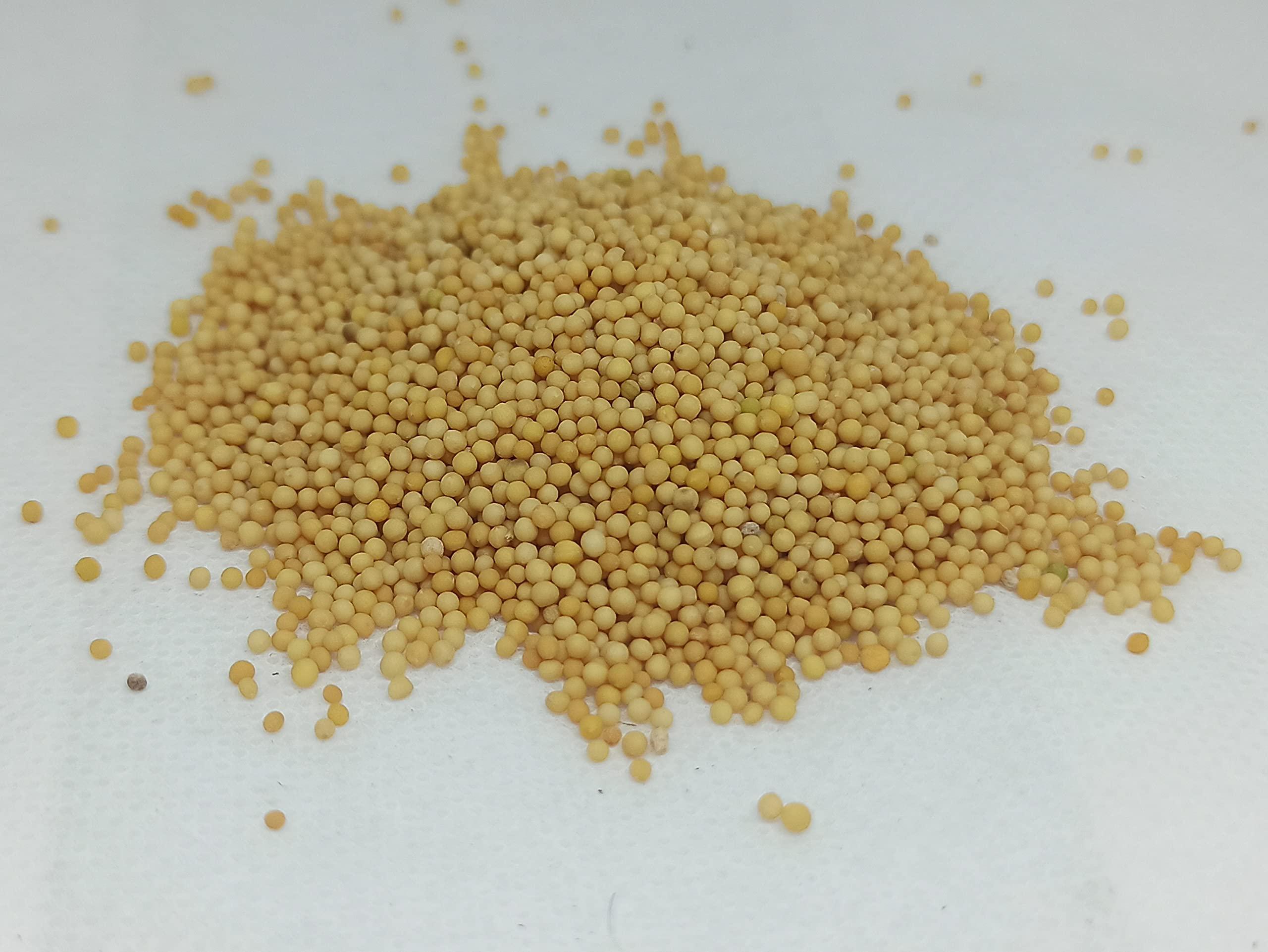 Generic NATURALIFE\'S-*VEN KADUGU*-YELLOW MUSTARD SEEDS RAW/ (250 GRAMS)