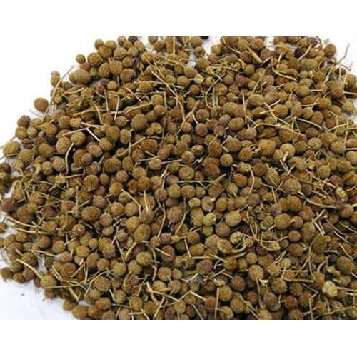 M/S S B ENTERPRISES GORAKH MUNDI/SPHAERNNTHUS INDICUS (900 GRAM)
