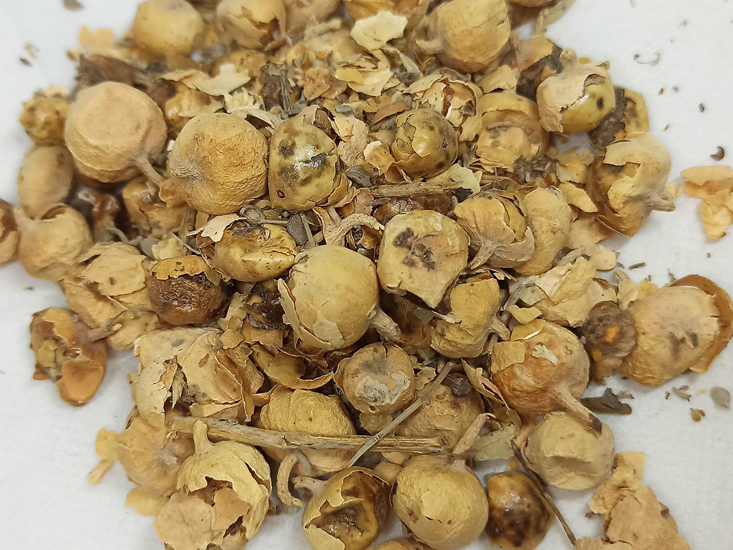 NATURALIFE NATURALIFE\'S-*PANNIR POO*-Indian Rennet Flower Dried I Withania coagulans Dunal I Paneer Poo/ I Paneer Phool/Paneer Doda I Panneru-gadda (250 GRAMS)