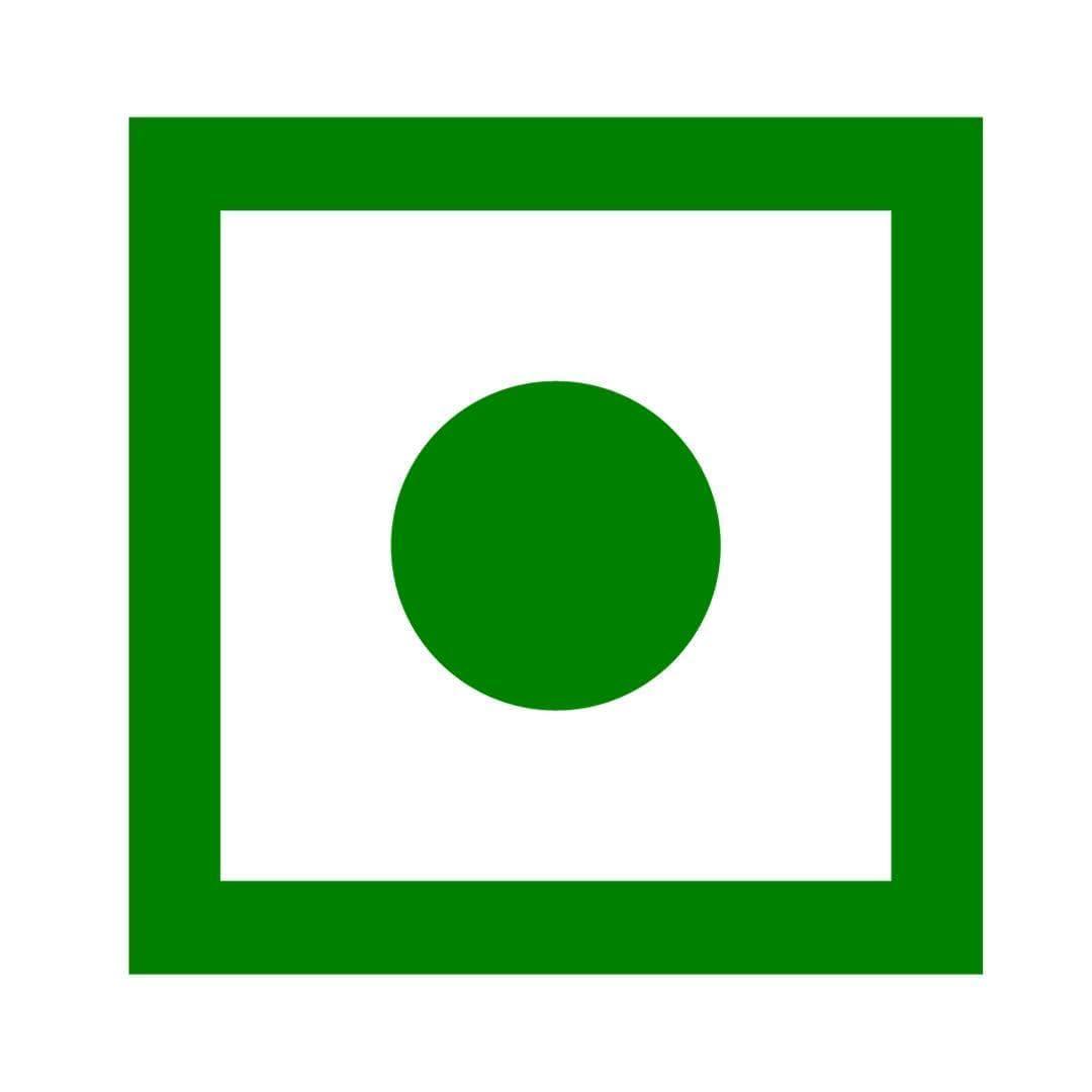 NOURISHWORLD NOURISHWORLD INC | Noni Fruit Capsule Best Immune Booster - Full of Antioxidants - Pure Noni Fruit Capsule 500mg (Combo Pack)