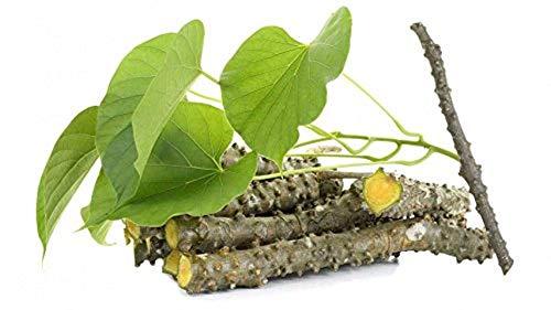 Generic Giloy-Guduchi, Tinospora cordifolia- Heart leaved moonseed Dried Herb (1800 grams)