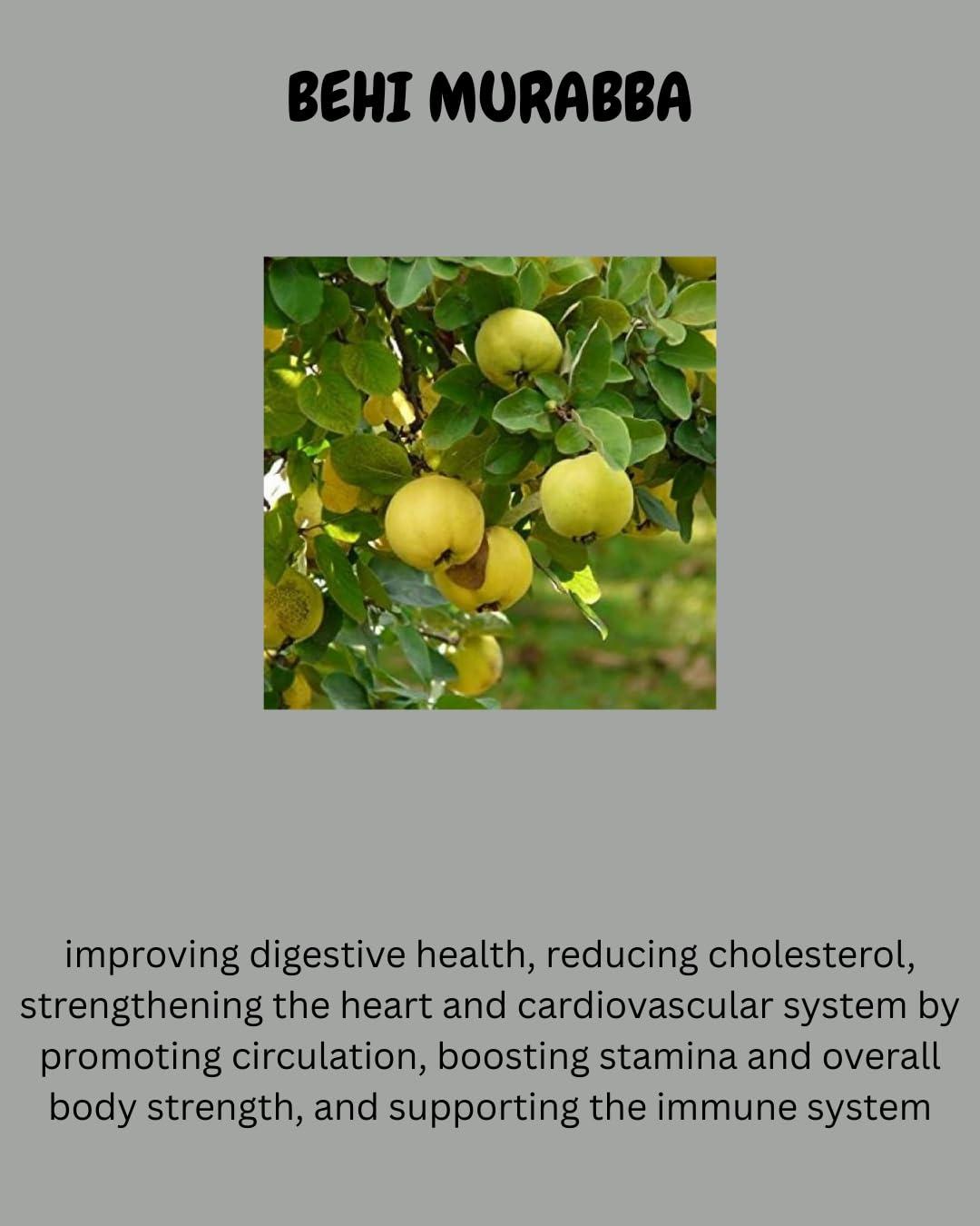 SAMPADA FOODS Sampada Foods | Behi Murabba (Safarjal Murabba) (Quince Murabba)| Good for Health and Immunity (450 Grams)