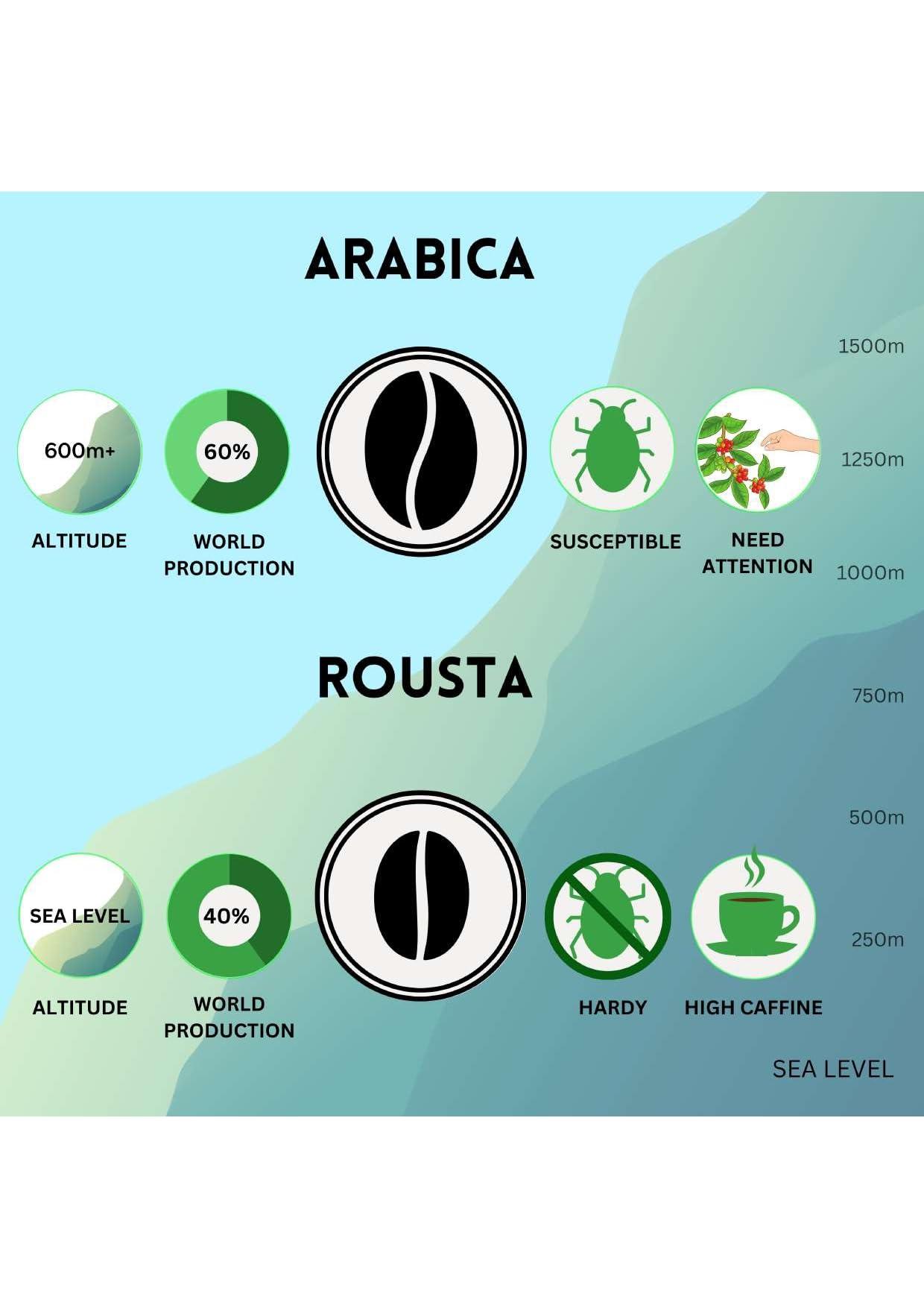 Vaishnavi Estate Vaishnavi Vegan Light Roast Robusta Single Origin, Shade Grown Fresh Coffee || 100% Pure Coffee || (Whole Bean, 250 grams)