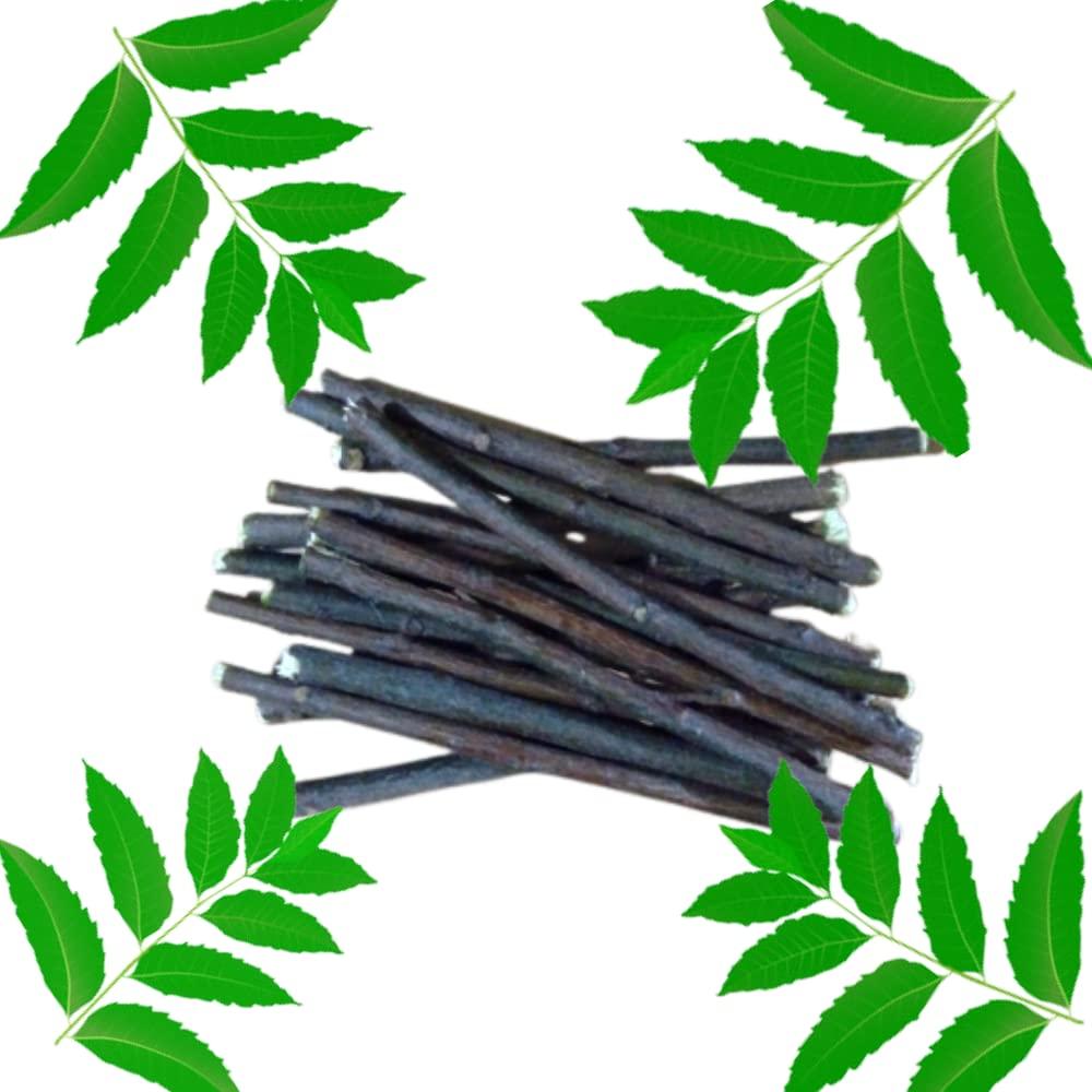 Generic Koorva neem datun twigs/neem sticks for brushing teeth/veppankuchi toothbrush Pack Of (11) Sticks