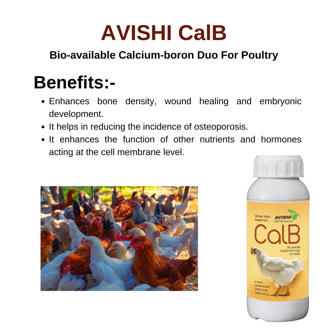 Avishi Avishi CalB Calcium-Boron Duo for Poultry (500 ml), Active Calcium for Strong Bones, Better Wound Healing and Embryonic Development